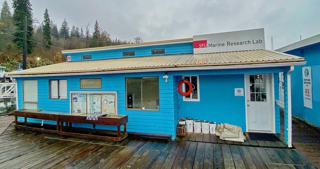 Marine education and habitat programs at Reed Point Marina